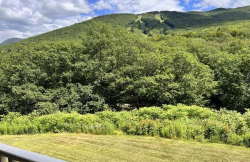 Studio Apt with stunning Mountain Views - Foto 21