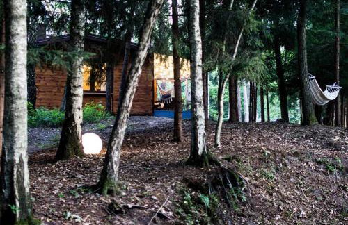 Sosnowy Strumyk - Foto 46