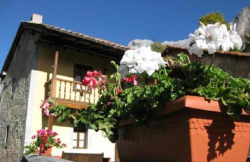 El Jermoso - Photo 21