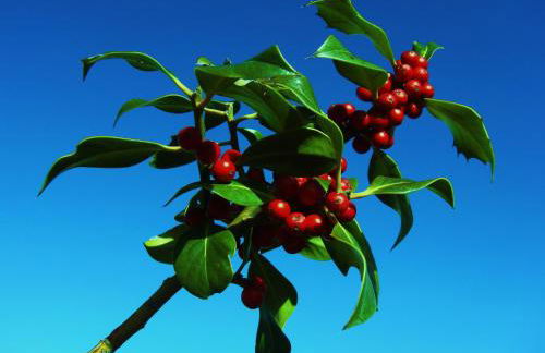 Apartamentos Casa Modesto - Foto 24