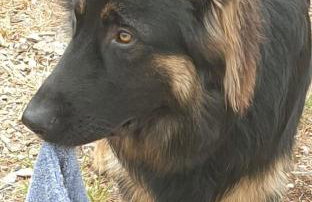 Gîte d'Anne et Ulysse - Foto 28