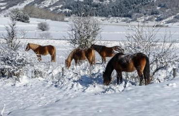 Casa Piccole Marmotte - Foto 23