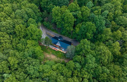Biltmore Forest Retreat Sauna Hot tub Game Rm - Foto 64