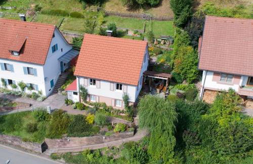 Ferienhaus Le Bain du Corbeau - inklusive Gratis-Eintritt zu 80 touristischen Highlights im Schwarzwald - Foto 1
