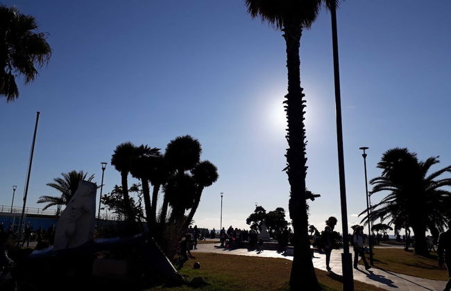 B&B Miami Beach - Foto 17