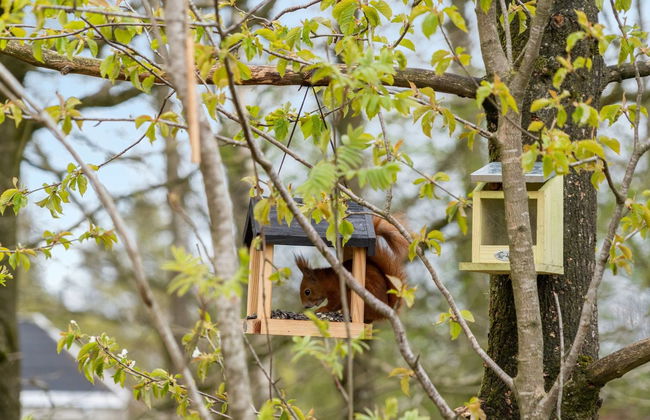 "Kea" - 30km from the sea - Foto 30