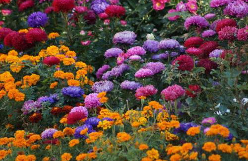 Gästehaus Minkel - Photo 9