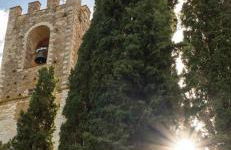 Il Fiorino di Badia - Foto 4