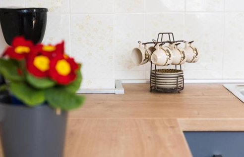 Apartment Stepancici Vi - Foto 32