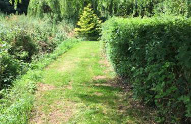 Everglades - Foto 50