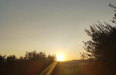 Notoshouse - Foto 21