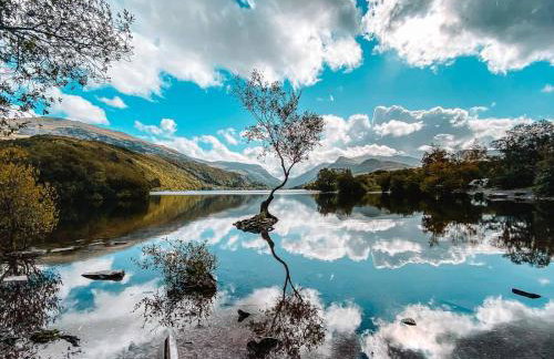 Prime location for Snowdon, Family and Dog friendly! - Photo 13