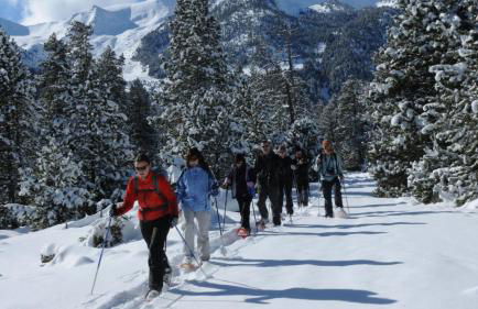 CR TESOL 6 SON - ALT ANEU - Foto 22