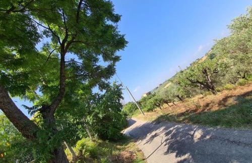 La Casetta in Collina - a pochi Km dal mare (Pe) - Foto 4