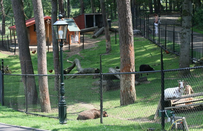 Modern Chalet With Combi-microwave - Photo 18