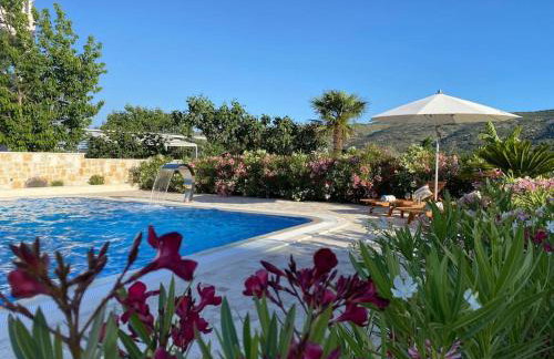 Villa Ludilo mit 4 Apartments in Poljica - Marina bei Trogir Split - Photo 12