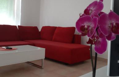 Apartments Cherry - Photo 22