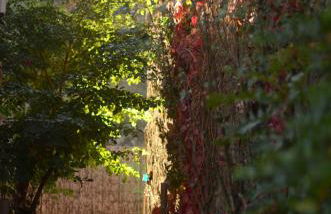 Torre Tanquián Eco Finca - Ribeira Sacra - Foto 7