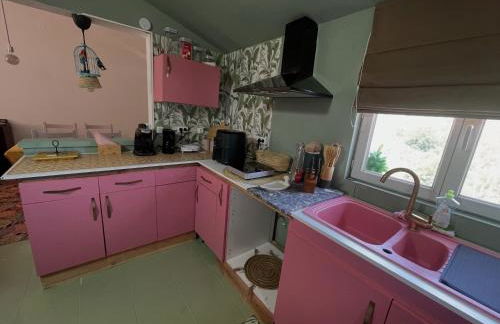 Maison n2 Donasete T1 - Foto 8