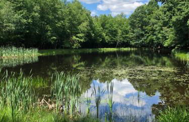 That Gray House Romantic getaway - Foto 73