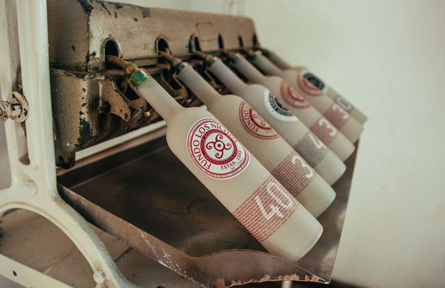 Alto Elqui Pisco Tour - Photo 5