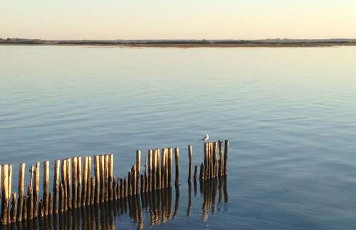 Au calme, maison T3 neuf avec Jardin à Cassy - Foto 30