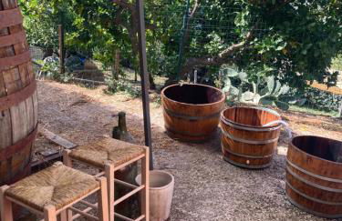 Il Gufo e l' Allodola - Foto 36