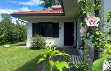 L'Angolo Verde - Foto 7