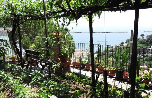 Le Mimose - Photo 26