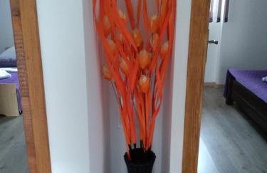 Apartman NINA - Foto 9