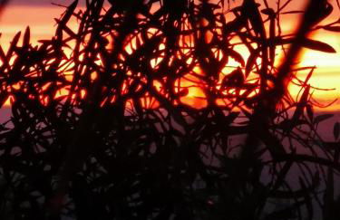 La Fattoria Dei Nonni - Foto 39