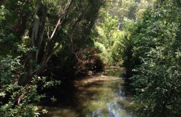 Molino El Mastral - Photo 47