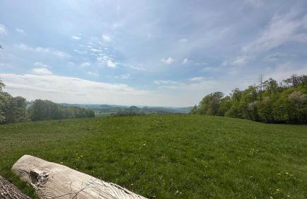 Schön Hier - im Harz - Foto 34