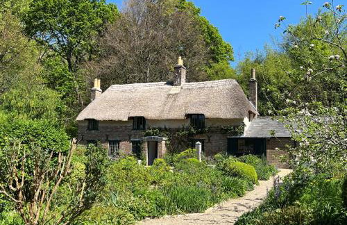 Bramble Bank - Foto 27