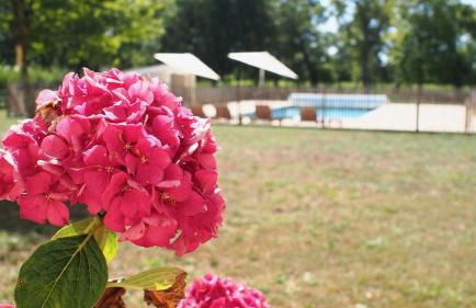 Domaine de Gorre - Foto 57