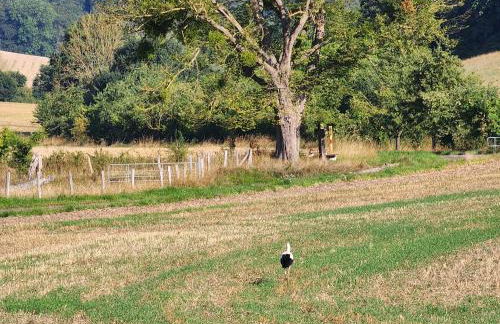 Ferienwohnung MW 1b 82m2 Höxter Weserbergland Weser inkl 2 Terrassen Wäsche und Endreinigung Self CheckIn - Foto 48