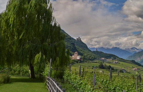 Weingut Stuck - Foto 24