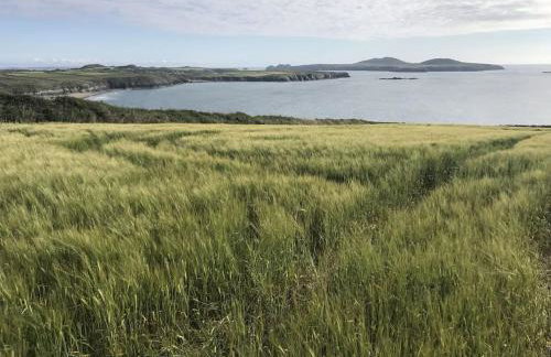 Upper Porthmawr - 5 Bedroom Cottage - Whitesands - Foto 83