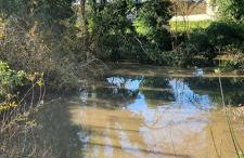 Studette avec terrasse Comme à la maison - Foto 19