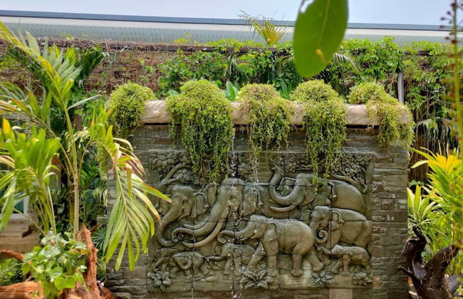 Flora Land Resort Chiang Mai - Foto 40