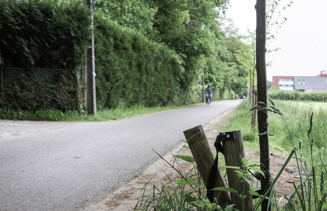 Westmalle Forest Garden Home - Foto 34