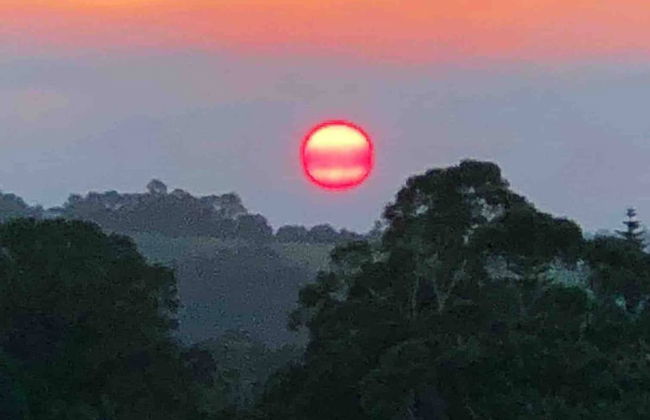 Cabane Tiny Tree House no4 - Foto 22