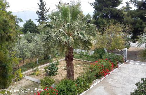 Elea Guesthouse - Photo 36