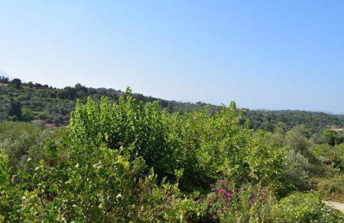 Vassili's House - Foto 32