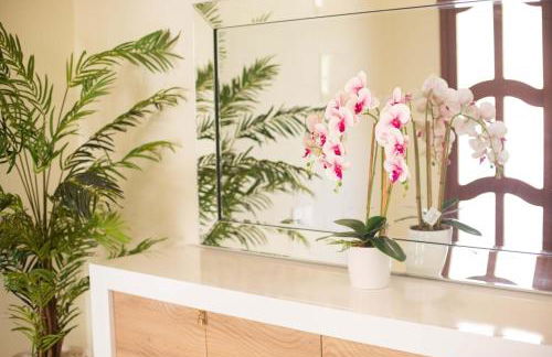 Casa Terra da Vinha - Foto 4