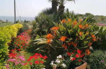 Chez Elle - Photo 12