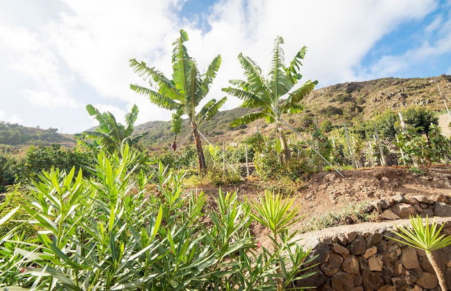 Nice Apartment With Fantastic Views of the Coastline of Tenerife - Foto 24