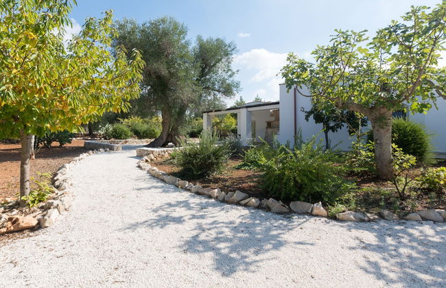 Lamia Vite - Foto 29