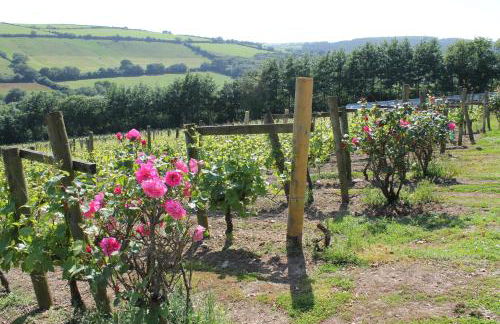 Hillside Cottage - Foto 26