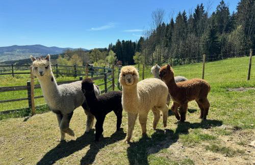 Waldlerhof - Photo 30